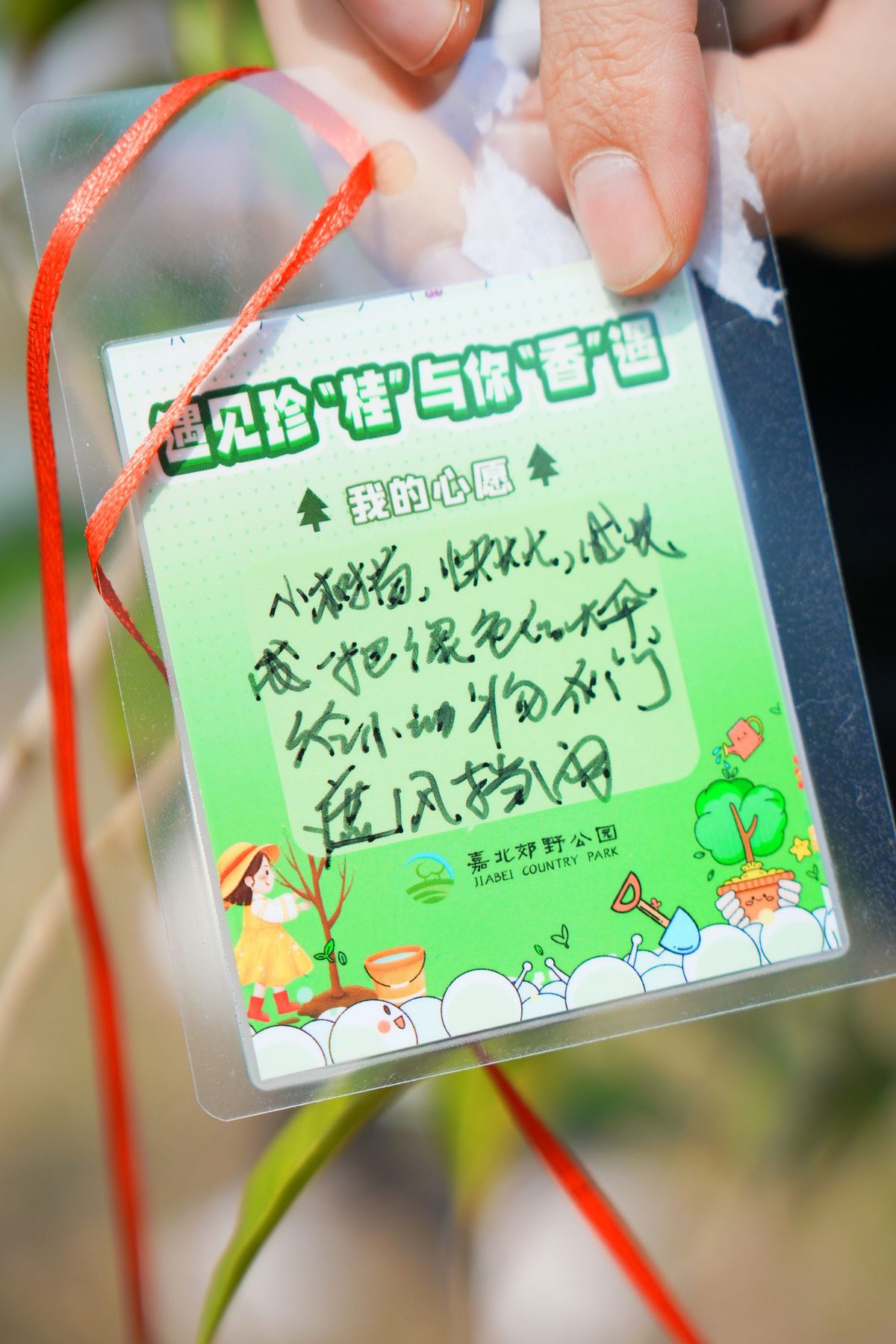 悦周末亲子在嘉北郊野公园开展植树节亲子活动